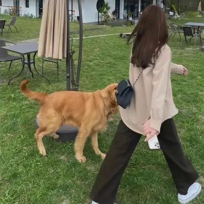圣诞倾情