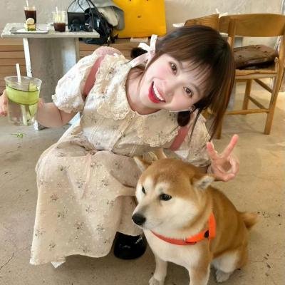 隔壁的女孩