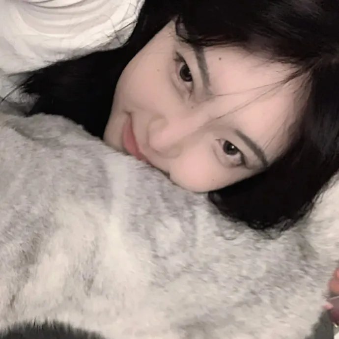 小鸡